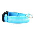 Collier lumineux pour chien - Royaume Animal