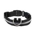 Collier lumineux pour chien - Royaume Animal