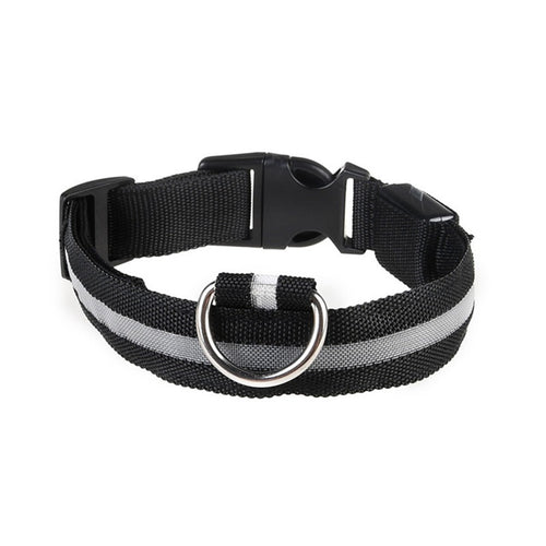 Collier lumineux pour chien - Royaume Animal