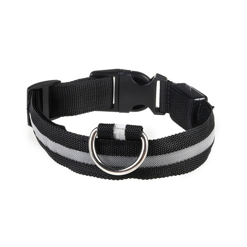 Collier lumineux pour chien - Royaume Animal