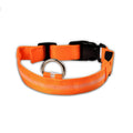 Collier lumineux pour chien - Royaume Animal