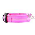 Collier lumineux pour chien - Royaume Animal
