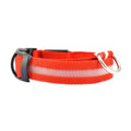 Collier lumineux pour chien - Royaume Animal