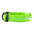Collier lumineux pour chien - Royaume Animal